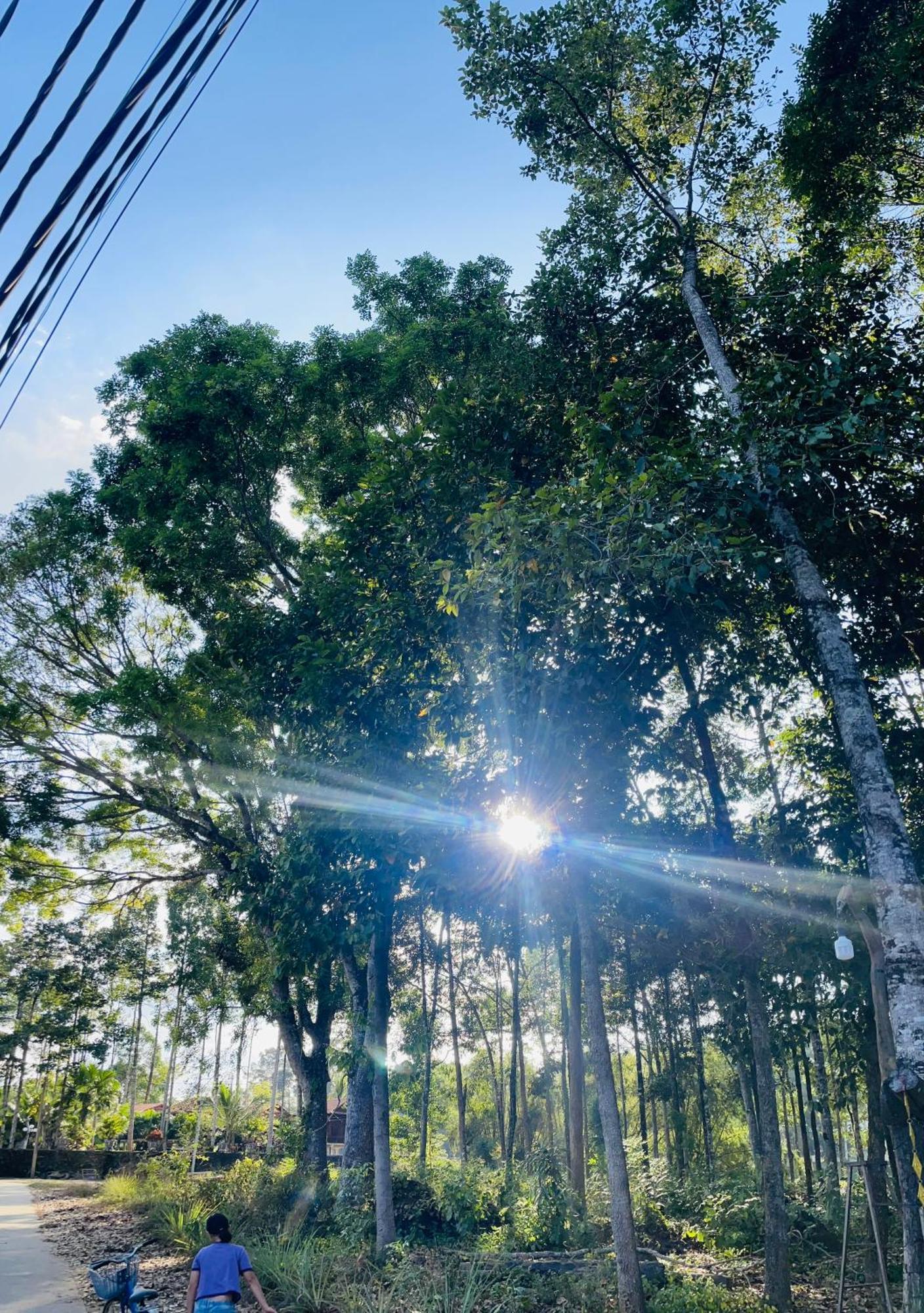 Forest Side Ecolodge Cat Tien Exterior photo